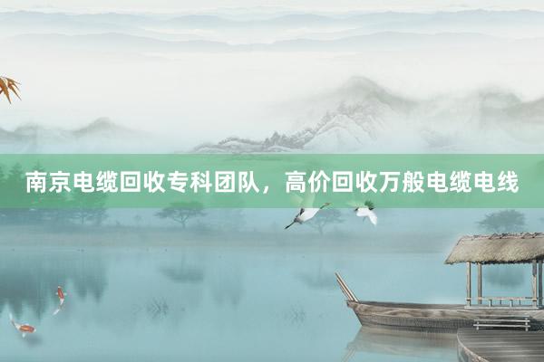 南京电缆回收专科团队，高价回收万般电缆电线